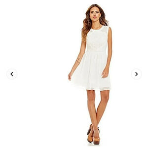 Gianni Bini Trina Mixed Lace A-Line Dress NWT